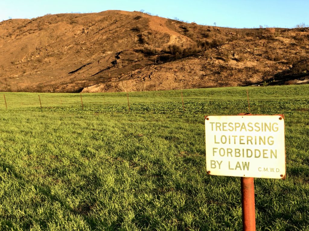 This work is licensed under a Creative Commons Attribution-NonCommercial 4.0 International License by Kenley Neufeld Trespassing Forbidden